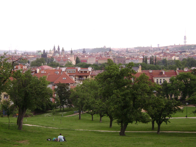 DSC00092.JPG
