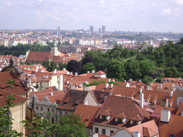DSC00137.JPG